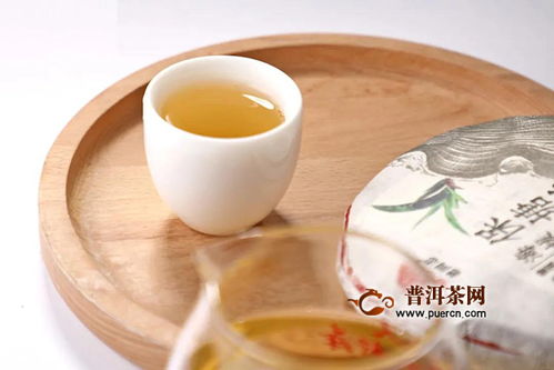 海湾茶业老同志2020年保塘老寨 精制版