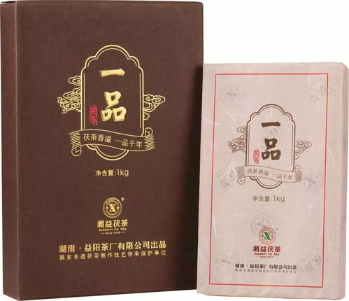 2018上海国际茶业展展商风采 益阳茶厂
