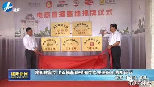一周茶事 健康中国茶,2020上半年茶叶及相关制品质量安全抽检合格