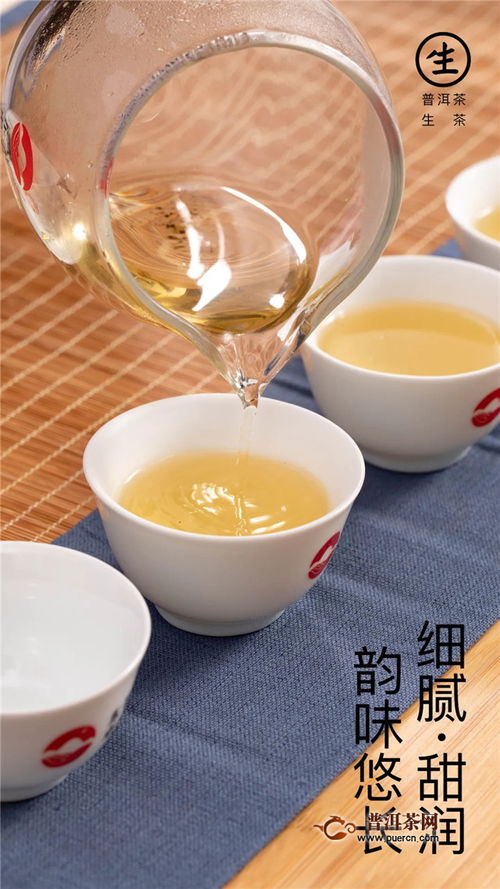 东卓茶业 新品品鉴.龙珠生茶,高端茶礼新贵