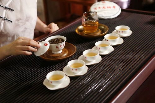 活动预告 普洱世家