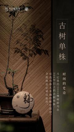 斗记茶业2001泰斗、宁静致远上市!