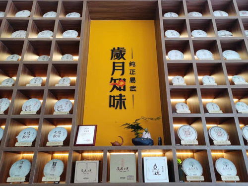 中国经济新闻联播网 专访岁月知味深圳易武茶品鉴中心负责人