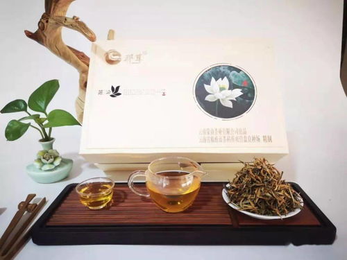 云南蒙商茶业欢迎您