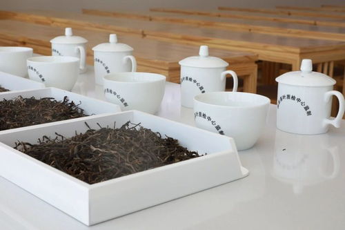云南中茶茶业 中茶普洱研修院 郑州中心 首期班招生简章