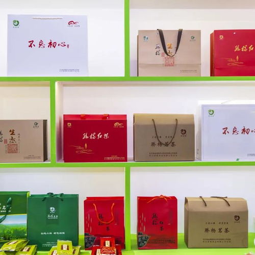 长沙绿茶 领跑乡村振兴 长沙市茶业协会组团参加第十三届湖南茶叶博览会