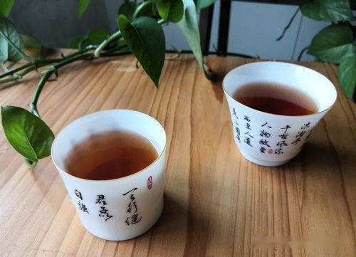 遇见兴海茶业2020年人和三星 德记茶业